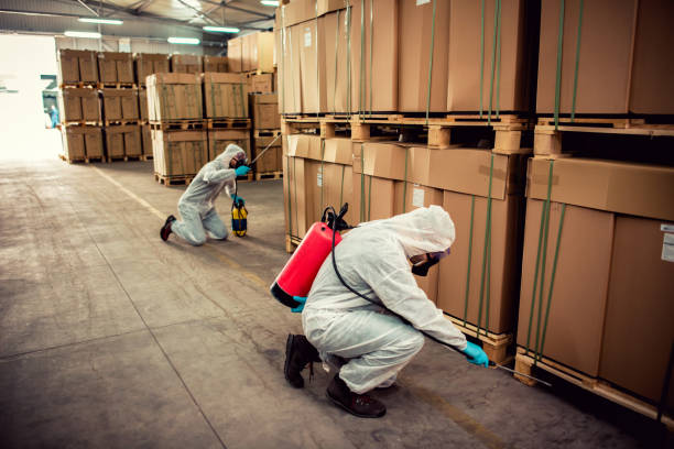 Best Local Pest Control Services  in Point Pleasant, NJ