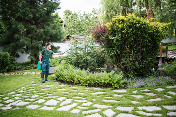 Trusted Point Pleasant, NJ Pest Control Experts