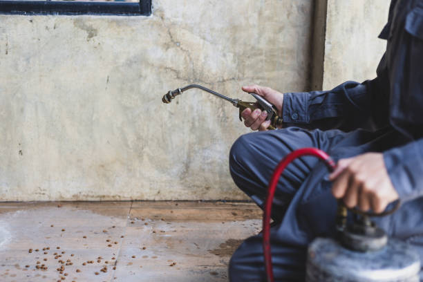Best Wasp Removal Services  in Point Pleasant, NJ